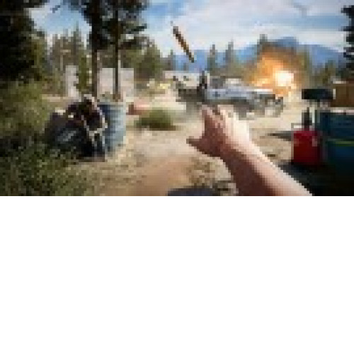 Far Cry 5 [PS4]